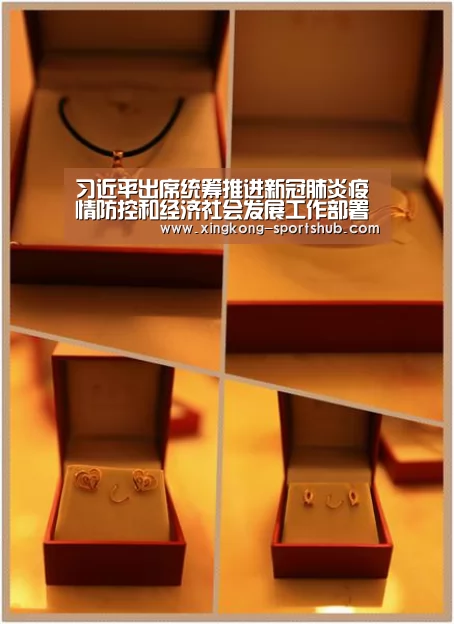 习近平出席统筹推进新冠肺炎疫情防控和经济社会发展工作部署会议并发表重要讲话-星空视讯(图1) 星空下载