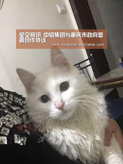 星空下载