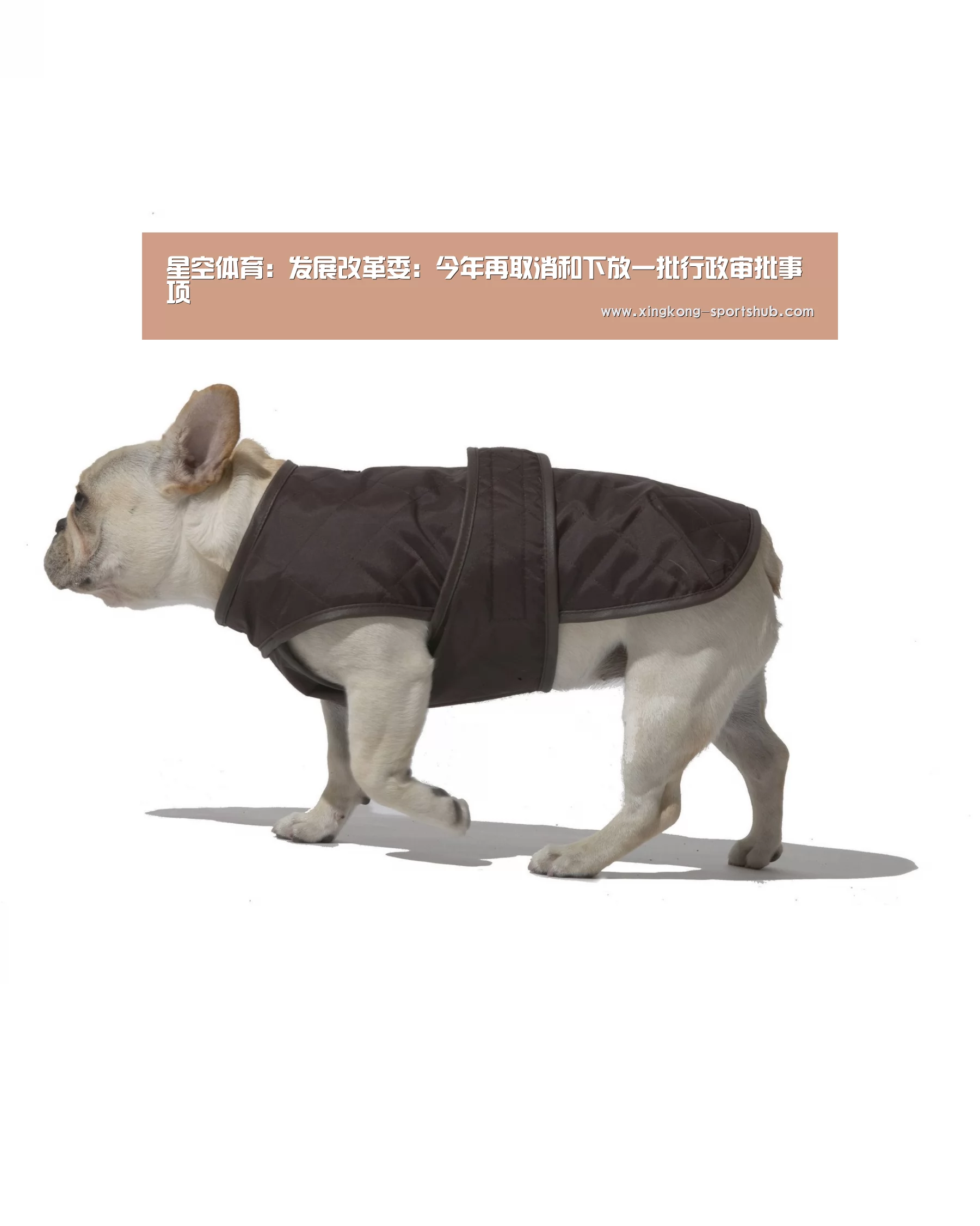 星空体育:发展改革委:今年再取消和下放一批行政审批事项(图1) 星空视讯