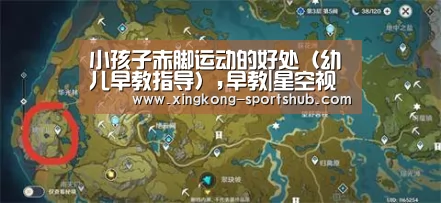 小孩子赤脚运动的好处(幼儿早教指导),早教|星空视讯(图2) 星空体育
