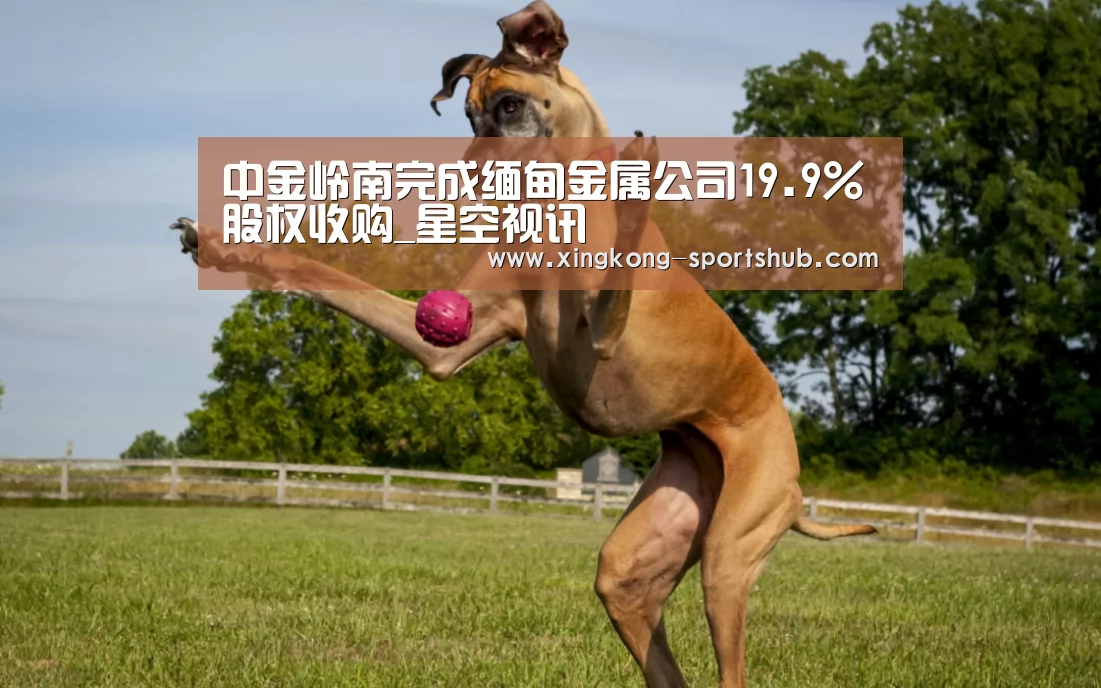 中金岭南完成缅甸金属公司19.9%股权收购_星空视讯(图3) 星空视讯