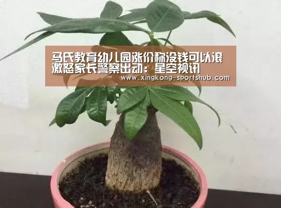 马氏教育幼儿园涨价称没钱可以滚 激怒家长警察出动:星空视讯(图1) 星空视讯