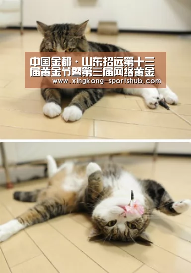 中国金都·山东招远第十三届黄金节暨第三届网络黄金节盛大启幕‘星空比分’(图2) 星空体育